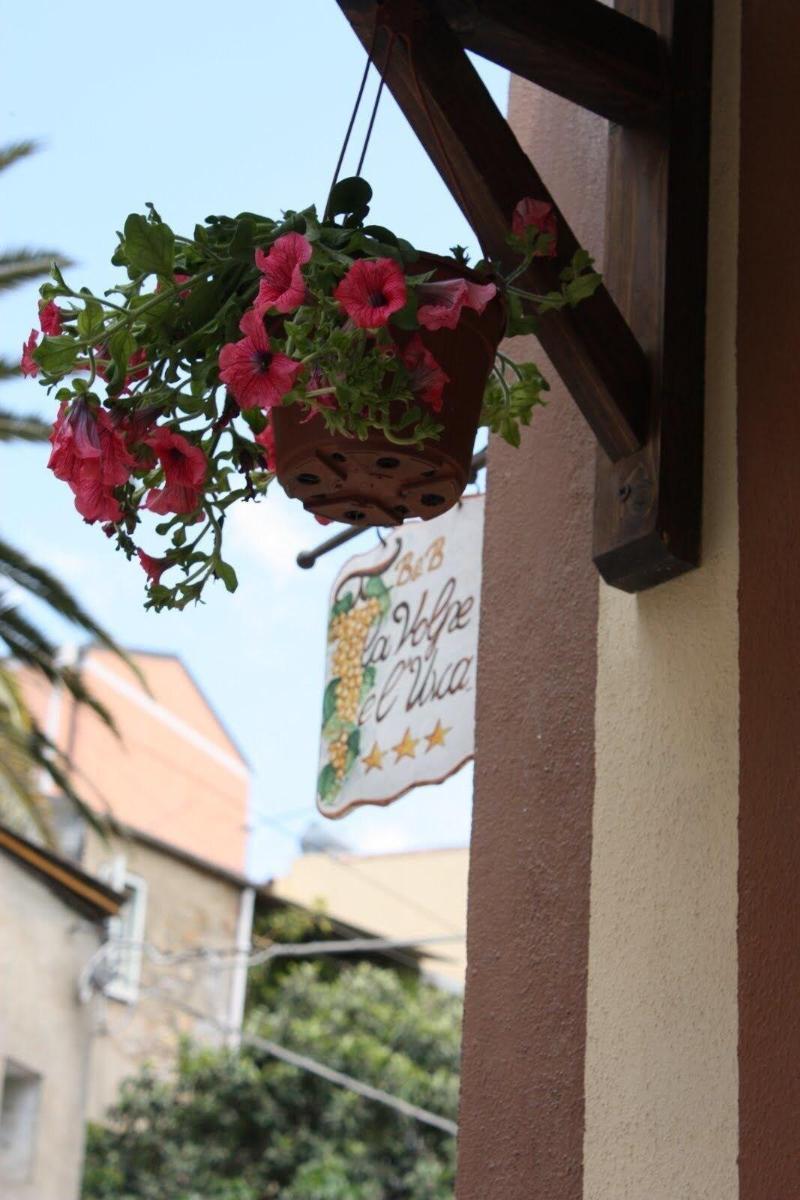 La Volpe E L'Uva B&B Piazza Armerina Kültér fotó